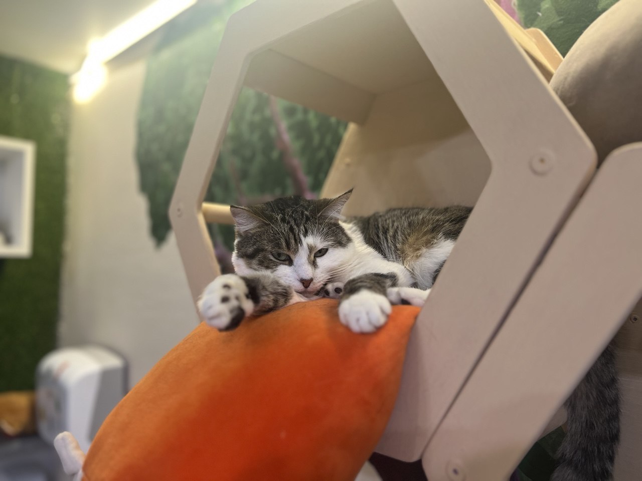 Freelance - [NDA] Projects